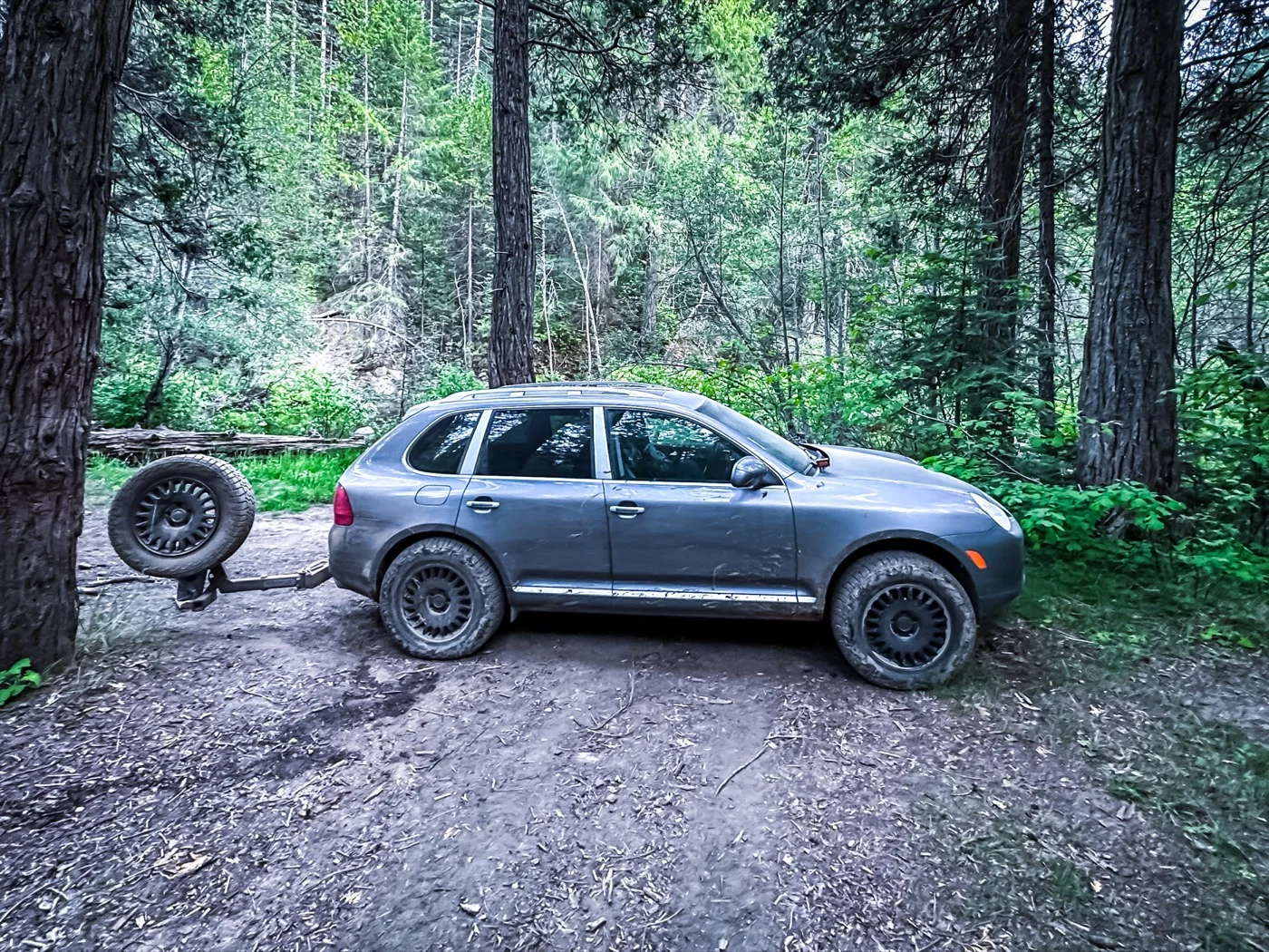 955 Cayenne S dispersed camping in the woods.